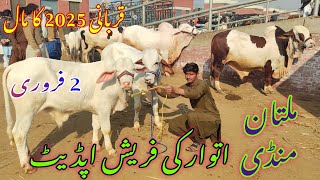 Multan Mandi me ayy kubsuraat Gulabi or Ablag Bachroo ki update || Qurbani 2025