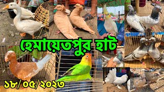 কবুতরের দামে হতাশ, পাখিতে সন্তুষ্ট বিক্রেতা | হেমায়েতপুর হাট | Hemayetpur Pet Market, Savar #555