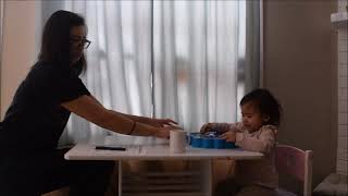 Examples of discrete trial training for teaching receptive identification of objects