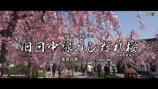 福島の桜より　Ｖｅｒ. 4Ｋ　～喜多方市　旧日中線のしだれ桜～