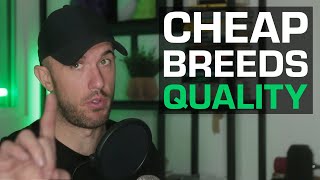 Cheap Breeds Quality | PETG, Spooless, and Gray | Shopify Plugin Beta | 3D Printing News