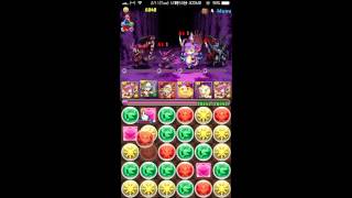 パズドラ「闇の歴龍 上級」白メタPT