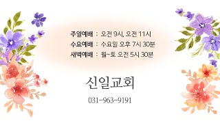 [LiVE] 신일교회  새벽예배