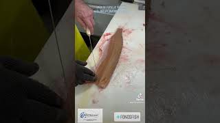 Filleting a Pike with Explanation