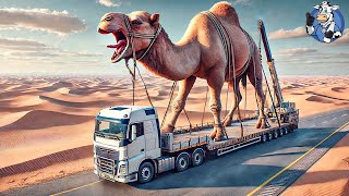 Transporting Camel This Way - Idiots Driving Heavy Equipment Fails - Agriculture Technology