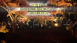 長瀞紅葉まつり2024月の石もみじ公園の紅葉ライトアップ埼玉県秩父郡長瀞町Nagatoro Autumn Leaves Festival Moonstone Momiji Park Light Up