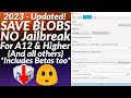 Save Blobs for A12 & UP devices No Jailbreak| Save SHSH Blobs without Jailbreak | BlobSaver Tutorial