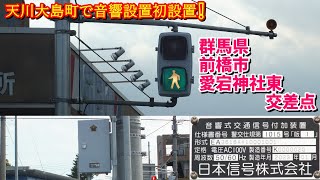 【音響信号(擬音式)】天川大島町で初設置❕ 日本信号警交1015号版1〈群馬県前橋市天川大島町愛宕神社東交差点〉