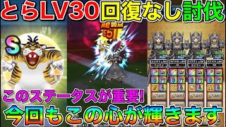 【ドラクエウォーク】とらおとこLV30回復なし討伐！！今回もこの心が輝きます！！重要なのはこのステータス！！