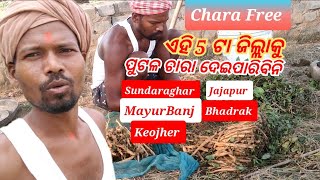 ଏହି 5 ଟା ଜିଲ୍ଲାକୁ ପୁଟଳ ଚାରା ଦେଇପାରିବିନି Sundar,Jajapur,Mayur, B, #Keojher