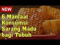 6 Manfaat Konsumsi Sarang Madu bagi Tubuh