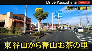 鹿児島ドライブ　 DJI Pocket 2　東谷山　山田　春山　お茶の里　Drive video　鹿児島の道路 おまかせテレビ Omakase TV