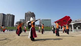 傾奇屋　第16回どまつり夜桜in岡崎　2024年4月7日　河川敷メイン