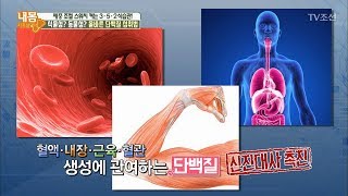 식물성? 동물성? 올바른 단백질 섭취법! [내 몸 사용설명서] 204회 20180512