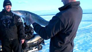 lac des deux montagne a OKA pêche a l'esturgon