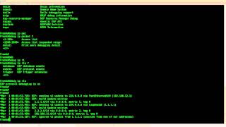 Conditional Debug on Cisco router