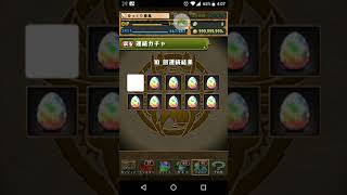 パズドラ無料100連！フェス限確率低すぎてヤバい😭