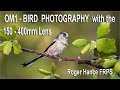 OM1 - Bird Photography with the 150 400mm Lens