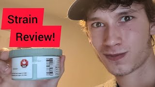 True OG STRAIN REVIEW / This Stuff Slaps! 🌱🚀