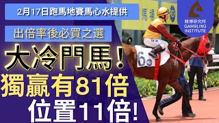 【賽馬貼士】2月17日 超級大冷門馬！｜超值搏！獨贏81倍 位置11倍！