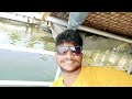 ⛵🛶 alappuzha kerala alappuzha kerala tourism alappuzha houseboat kerala beach manali trip