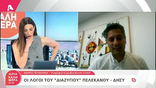 Οι λόγοι του «διαζυγίου» Πελεκάνου - ΔΗΣΥ