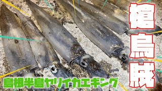 もう春ですが、、新年あけまして一発目の釣行動画はやはりエギングスタート #ヤリイカ #エギング #山陰釣りどげかいな