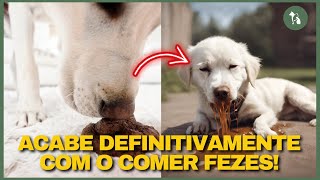 TRÊS ALIMENTOS (USE ELES) Para Acabar com Hábito do Cachorro Comendo Coco ou do Gato Comendo Coco.