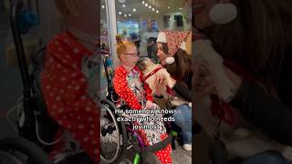 We brought Doug The Pug to the Children’s Hospital to spread joy before Christmas ❤️ Good boy, Doug.