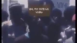 ወዲ ጣባ ደርጊ ን ወረዳ ሰገነይቲ ከጸልም ከሎ!!