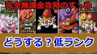 【ドラクエタクト】（魔獣フェスティバル）低ランクキャラの育成どうする？（サブナック、リカント、etc）完全無課金攻略のすゝめ