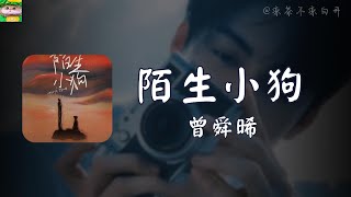 陌生小狗｜曾舜晞「怎麼會難受 無畏親口祝你戀情永久」【動態歌詞】