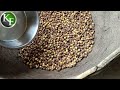 chana roaster machine trial chana roasting 7407043392 8637880728 chanarostermachine rostermachine