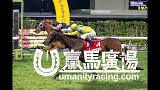 20241226 「晨曦儷人」勝出後練馬師伍鵬志訪問