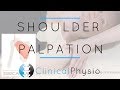 Shoulder Palpation | Clinical Physio Premium