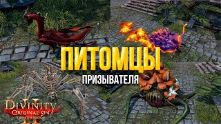 Divinity original sin 2: Definitive edition.  Все питомцы призывателя.