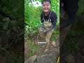 【戶外捕魚vlog】包下一個大哥荒廢了十多年的老甲魚塘，沒想到裏面還有這種大貨？ 三農 戶外