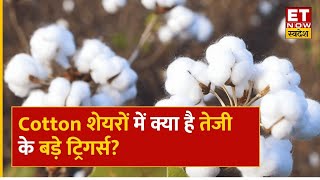 Cotton Price Hike: कॉटन कीमतों में जोरदार तेजी, जानिए कॉटन शेयरों में क्या है तेजी के बड़े ट्रिगर्स?