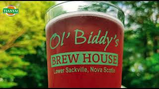 Brewery Reference 13: OL’ BIDDY’S Brewery 10bbl in Canada by Tiantai