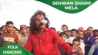 Folk Dancers   Sehwan Sharif Mela Hazrat Lal Shabaz Qalandar RA Urs