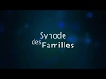 Synode des familles - Diocèse de Tournai 2017 - Introduction