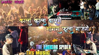 काला काला बालूमे मोगरा फूल गजरो | Nonstop Timli Song | TRS Music | The Rocking Spider Band