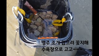 캠핑카실사용기-꽃지해수욕장 노지 캠핑..조카랑 명주조개 잡으러 갑니다.