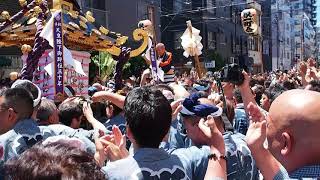 浅草　三社祭　本社神輿渡御　一之宮　2018.5.20  Asakusa Sanja-Matsuri Mikoshi