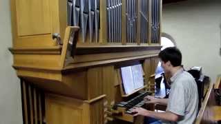 Zelda A Link to the Past Dark World theme on pipe organ