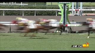 2015　8 22　 小倉1R　2歳未勝利　クライシス