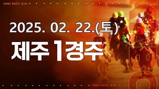 (제주) 2025.02.22 1경주