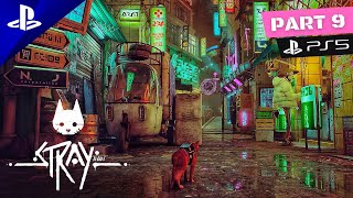 Stray | Gameplay Walkthrough | HDR 60FPS | PS5 | Part 9