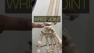 Close pack position of the body joints: Joints position: Joint Locking