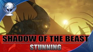 Shadow of the Beast - Stunning Trophy